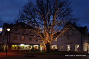 Weihnachtsbeleuchtung von Essert-Illuminationen mit LED-Lichterketten als Baumbeleuchtung in Bad Arolsen