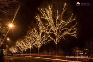 Weihnachtsbeleuchtung von Essert-Illuminationen mit LED-Lichterketten als Baumbeleuchtung in Cham