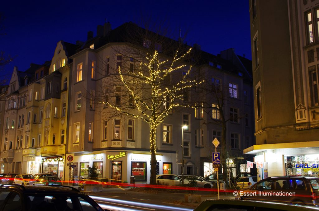 Weihnachtsbeleuchtung von Essert-Illuminationen mit LED-Lichterketten als Baumbeleuchtung in Dortmund