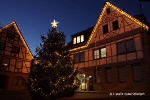 Weihnachtsbeleuchtung von Essert-Illuminationen mit LED-Lichterketten als Baumbeleuchtung in Igersheim