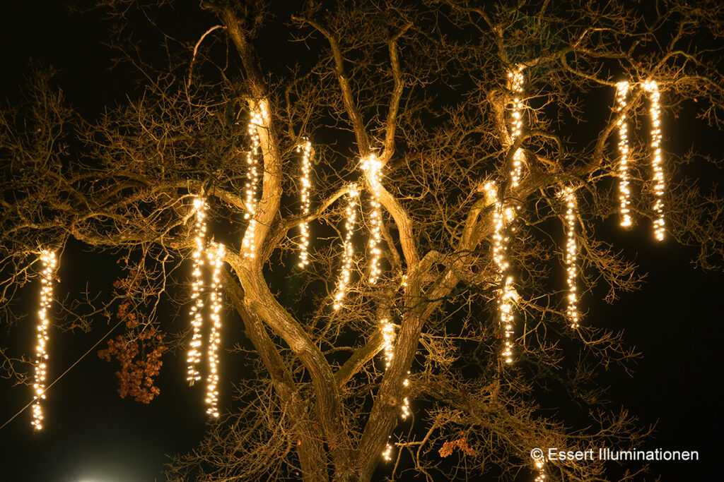Weihnachtsbeleuchtung von Essert-Illuminationen mit LED-Lichterketten als Baumbeleuchtung in Kemnath