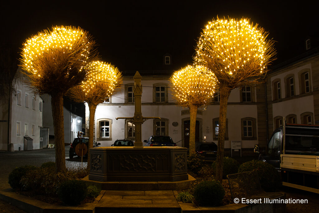Weihnachtsbeleuchtung von Essert-Illuminationen mit LED-Lichtnetzen als Baumbeleuchtung in Kemnath