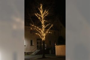 Weihnachtsbeleuchtung von Essert-Illuminationen mit LED-Lichterketten als Baumbeleuchtung in Kleinheubach
