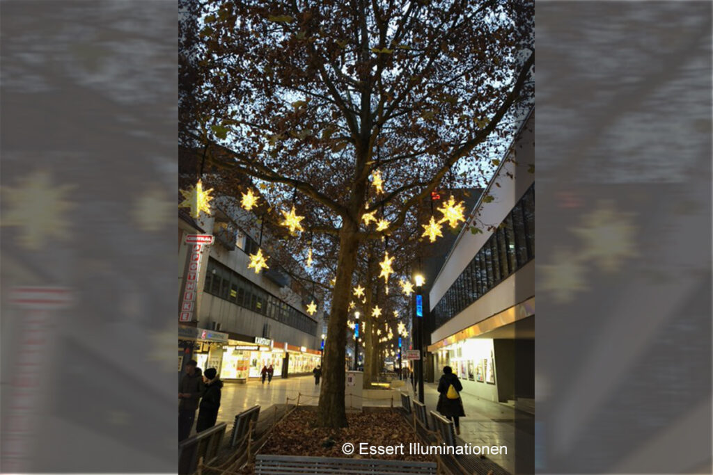 Weihnachtsbeleuchtung von Essert-Illuminationen mit LED-Lichterketten und Fiberglassternen als Baumbeleuchtung in Singen