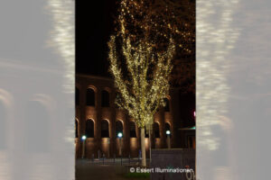 Weihnachtsbeleuchtung von Essert-Illuminationen mit LED-Lichterketten als Baumbeleuchtung in Trier