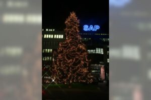 Weihnachtsbeleuchtung von Essert-Illuminationen mit LED-Lichterketten als Baumbeleuchtung in Walldorf