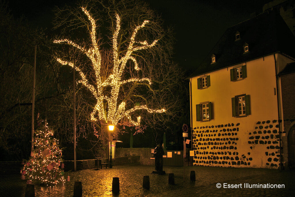 Weihnachtsbeleuchtung von Essert-Illuminationen mit LED-Lichterketten als Baumbeleuchtung in Dormagen Zons