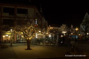 Weihnachtsbeleuchtung von Essert-Illuminationen mit LED-Lichterketten als Baumbeleuchtung in Zwickau