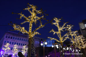 Weihnachtsbeleuchtung von Essert-Illuminationen mit LED-Lichterketten als Baumbeleuchtung in Pirmasens