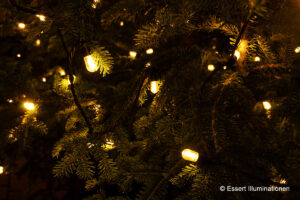 Weihnachtsbeleuchtung von Essert-Illuminationen als Baumbeleuchtung mit LED-Lichterkette in Hardheim