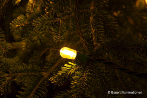 Weihnachtsbeleuchtung von Essert-Illuminationen als Baumbeleuchtung mit LED-Lichterkette in Hardheim