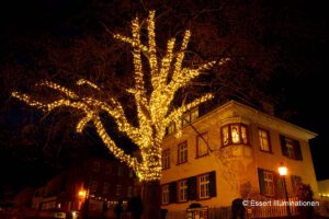 Weihnachtsbeleuchtung von Essert-Illuminationen mit LED-Lichterkette als Baumbeleuchtung in Lohr am Main